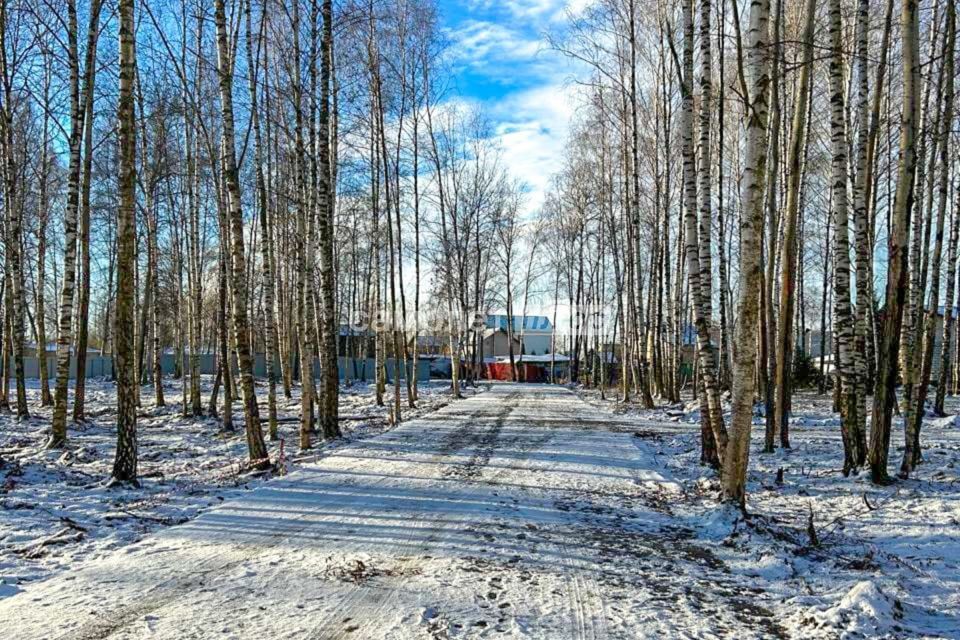 земля городской округ Богородский г Ногинск СНТ Южное фото 3