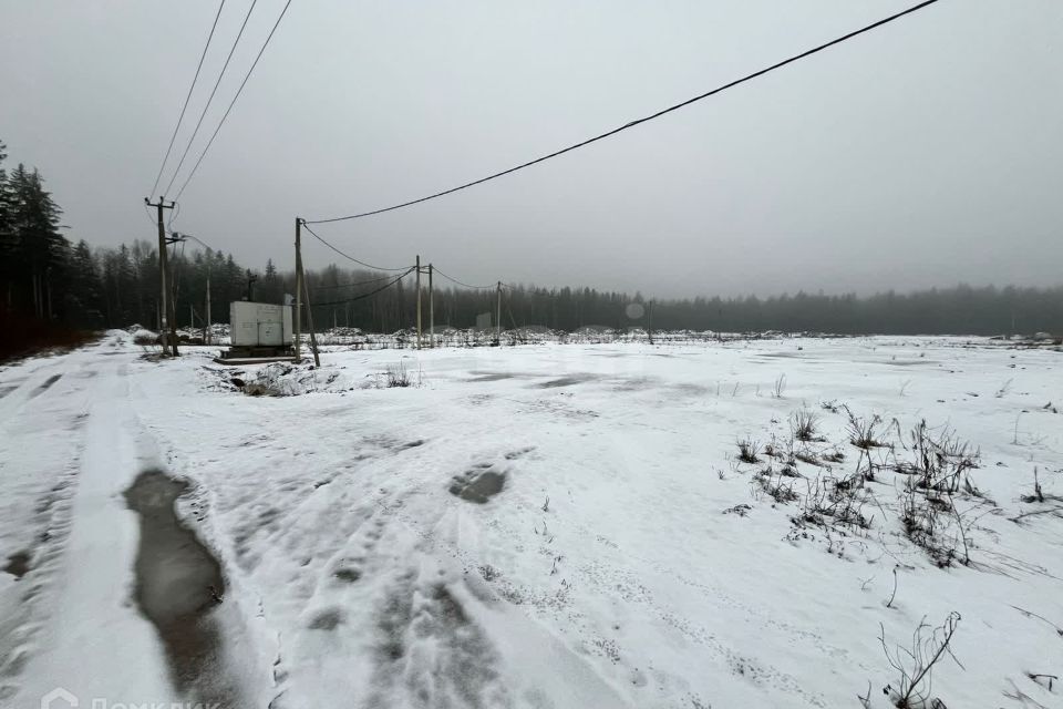 земля г Сосновый Бор Сосновоборский городской округ, ТСН Саванна фото 2