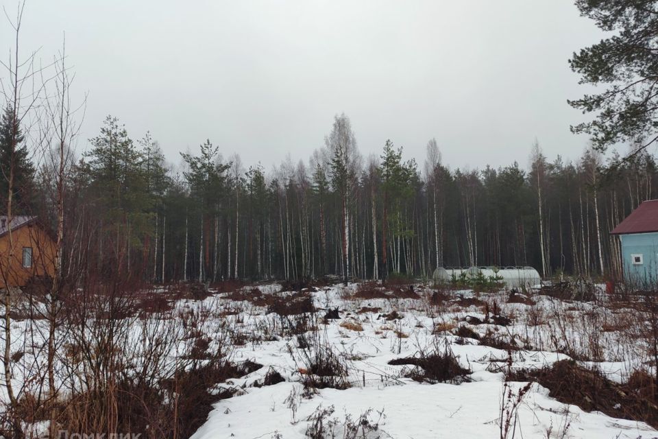 земля р-н Всеволожский г Всеволожск СНТ Волшебный Сад фото 3