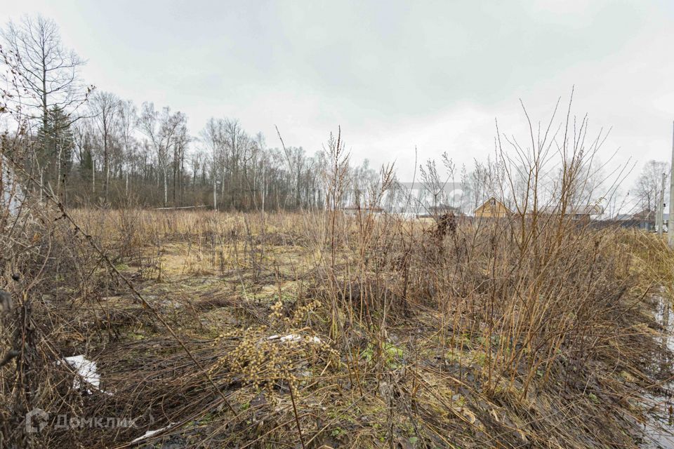 земля городской округ Наро-Фоминский фото 2