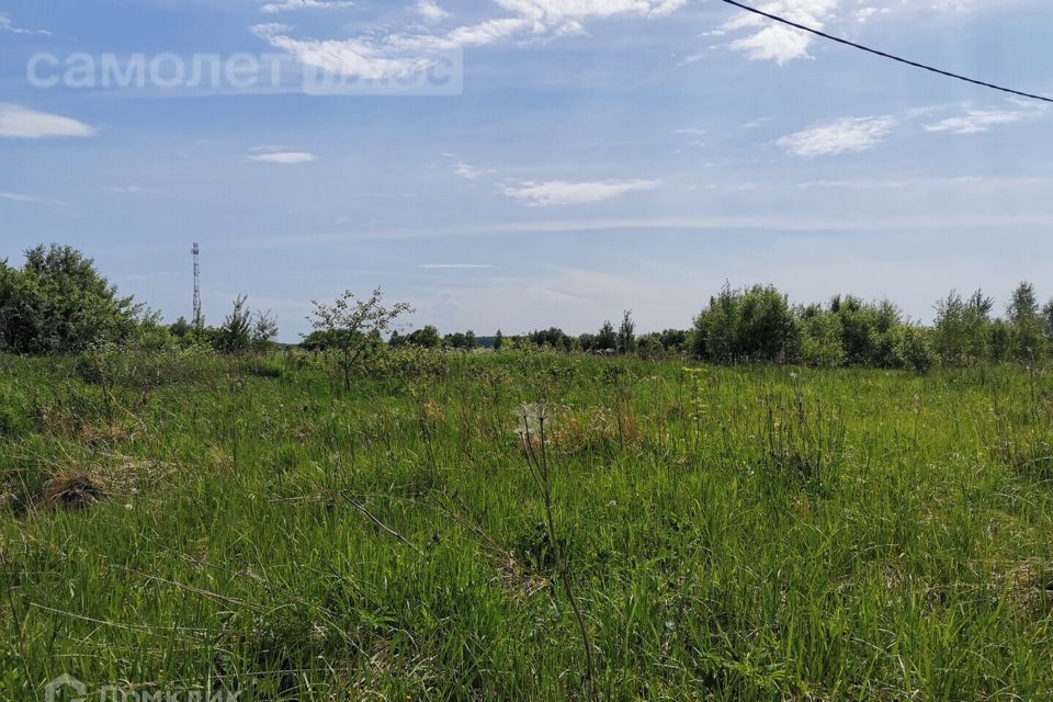 земля городской округ Ступино д. Большое Лупаково фото 3