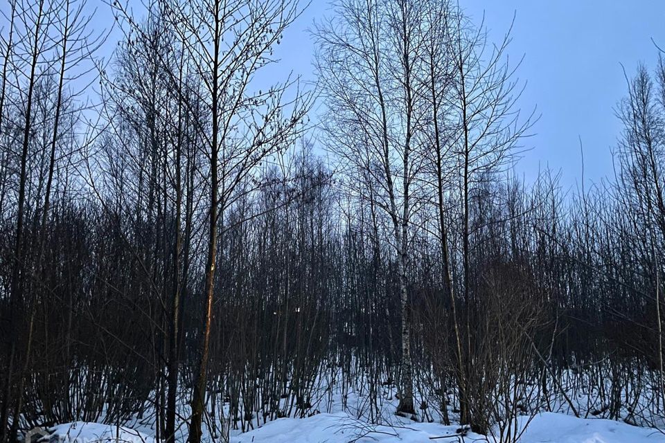 земля городской округ Богородский с. Стромынь фото 1