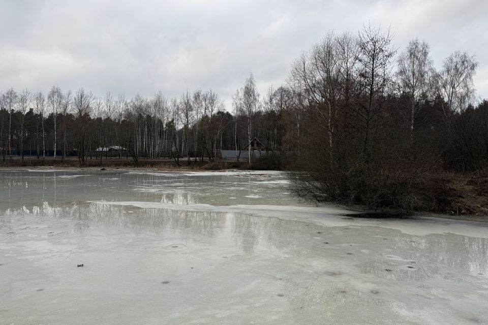 земля городской округ Богородский фото 3