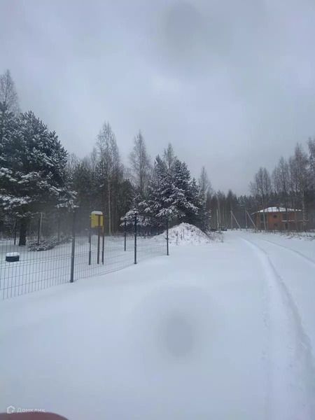 земля р-н Всеволожский д Озерки Приморское гп, улица Заставская, Выборгский муниципальный район фото 4