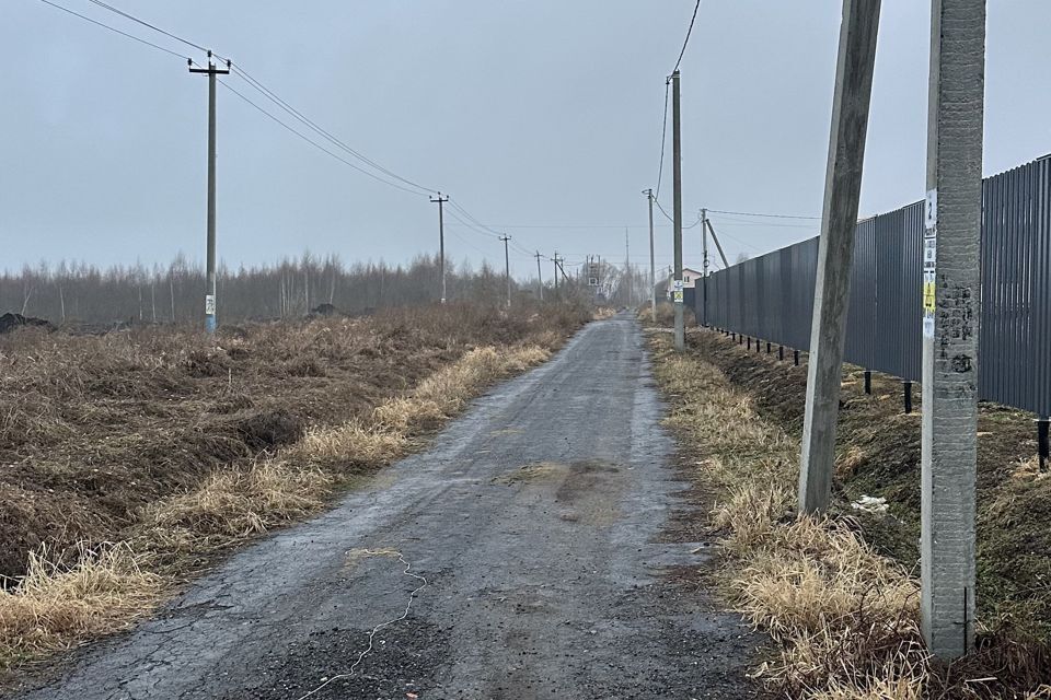 земля городской округ Воскресенск д. Ворщиково фото 2