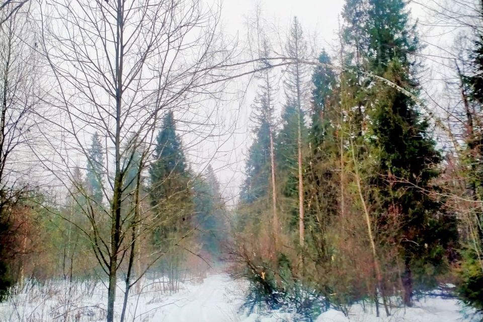 дом городской округ Мытищи д. Фоминское фото 4