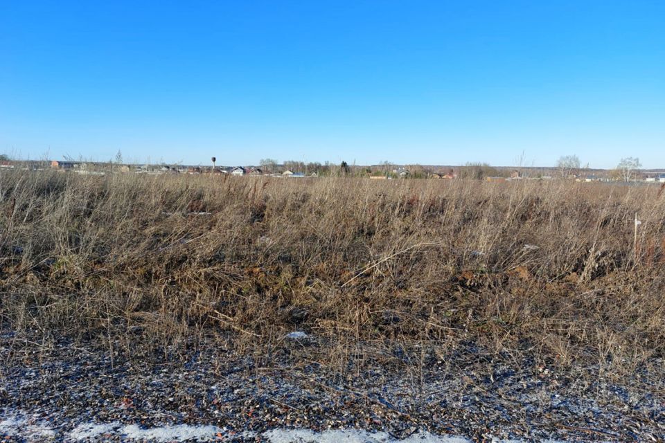 земля г Домодедово Домодедово городской округ, Светлый фото 1