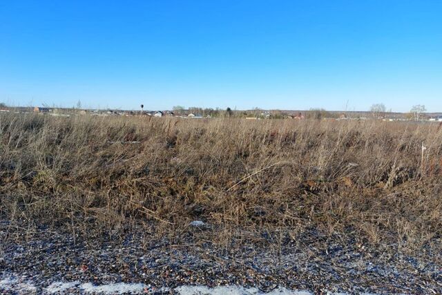 Домодедово городской округ, Светлый фото