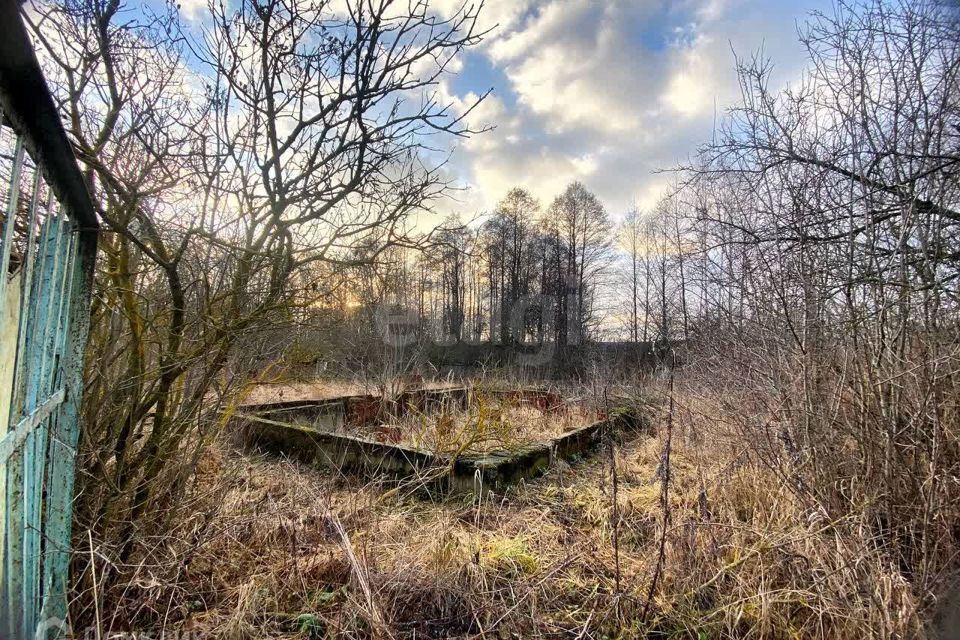 земля Коломна городской округ, 113, СНТ Надежда-2 фото 1