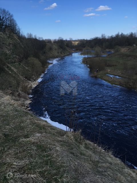 земля р-н Волховский д. Морозово Колчановское сп фото 1