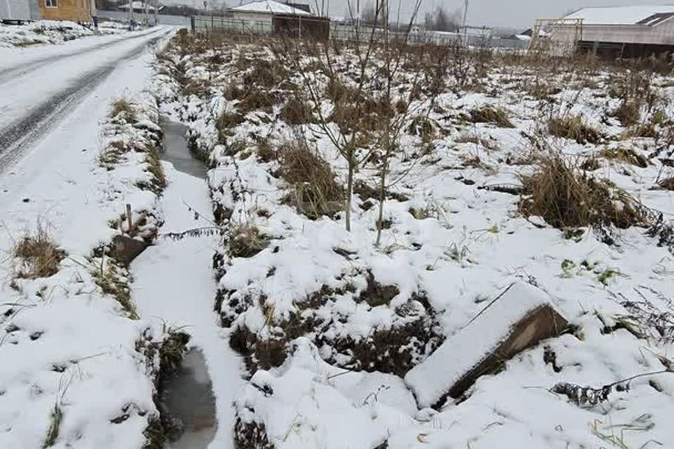 земля городской округ Чехов с. Дубна фото 4