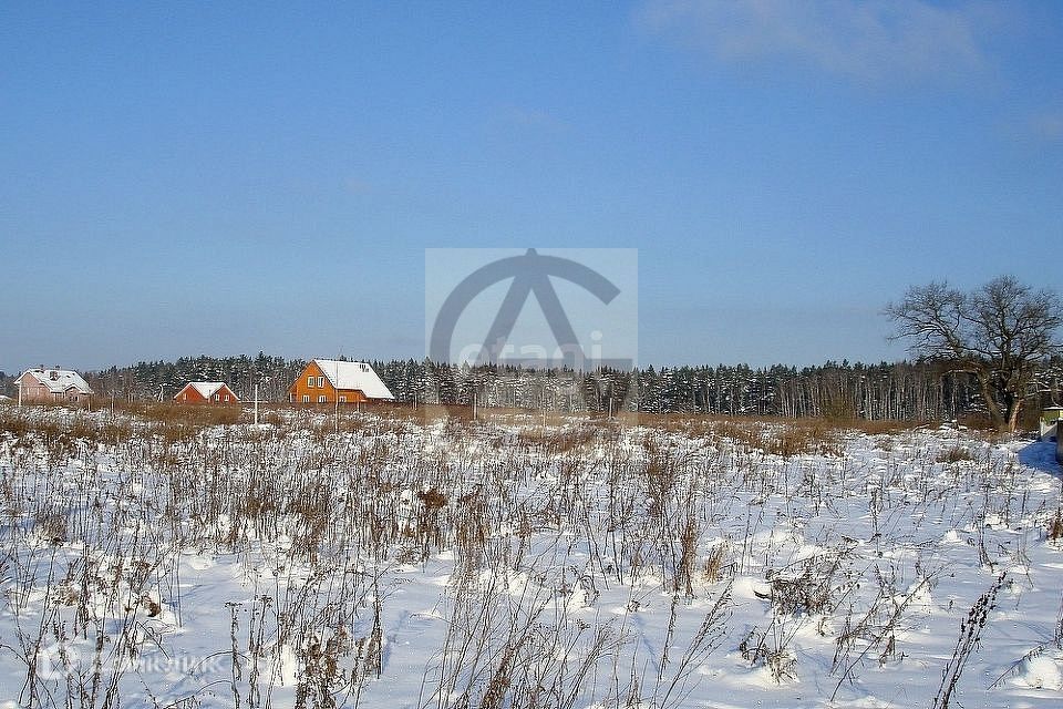 земля городской округ Истра Леоново фото 3