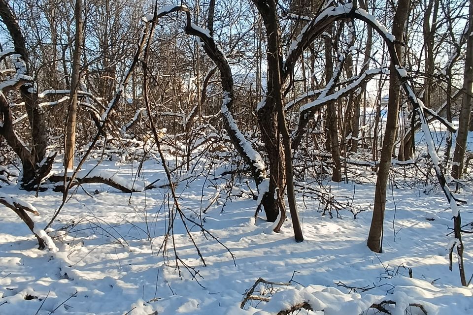 земля р-н Кингисеппский д. Котлы фото 4