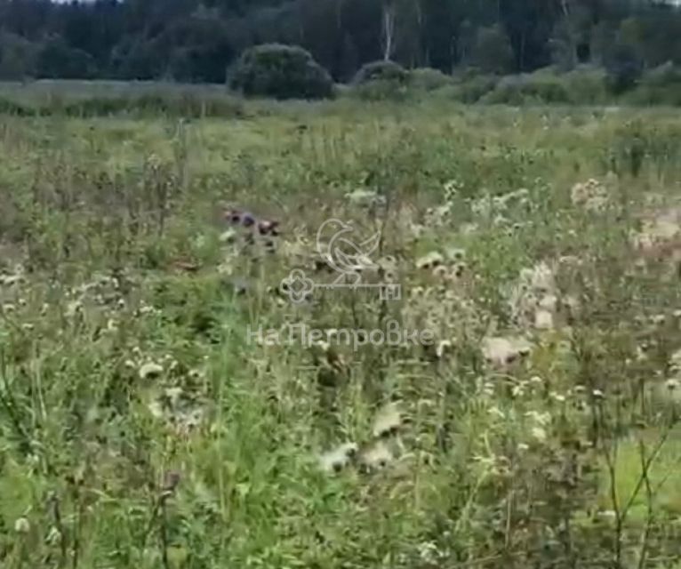 земля городской округ Волоколамский фото 4