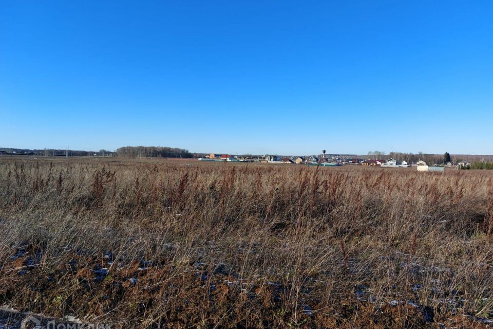 земля г Домодедово Домодедово городской округ, Светлый фото 2