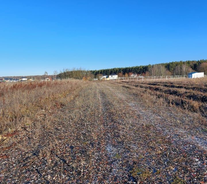 земля г Домодедово Домодедово городской округ, Светлый фото 3