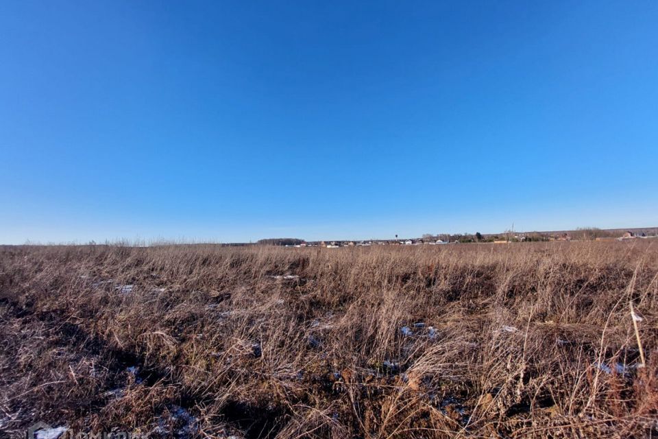 земля г Домодедово Домодедово городской округ, Светлый фото 4