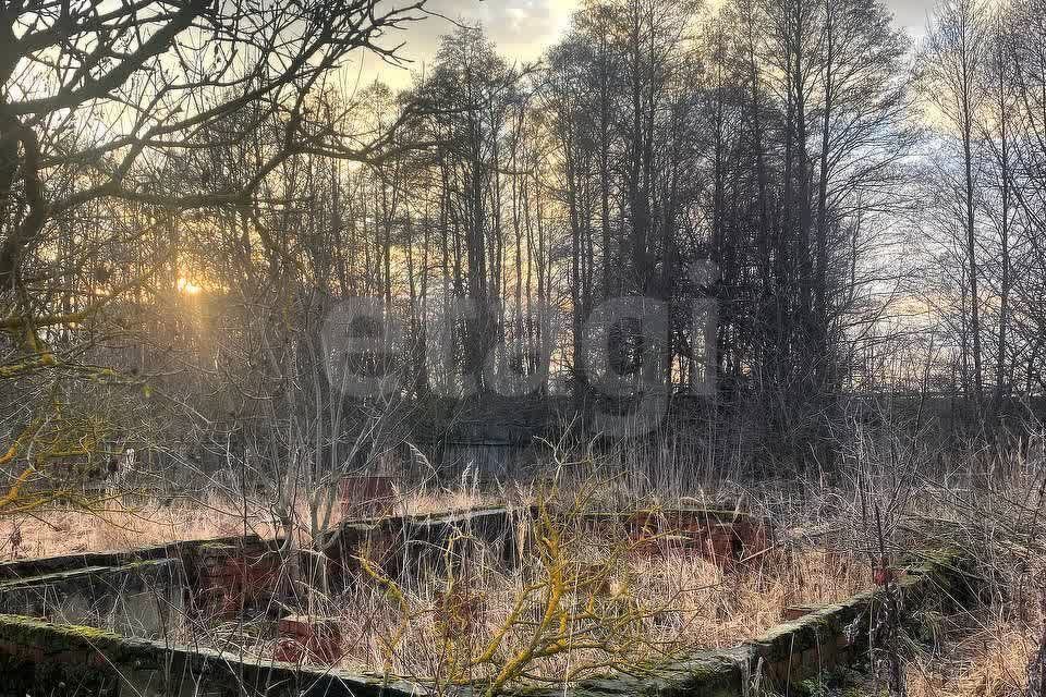 земля Коломна городской округ, 113, СНТ Надежда-2 фото 2