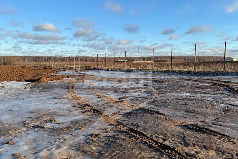 земля городской округ Подольск д. Дмитрово фото 4