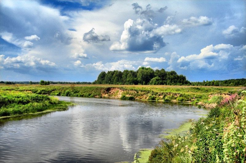 земля городской округ Дмитровский деревня Караваево фото 10