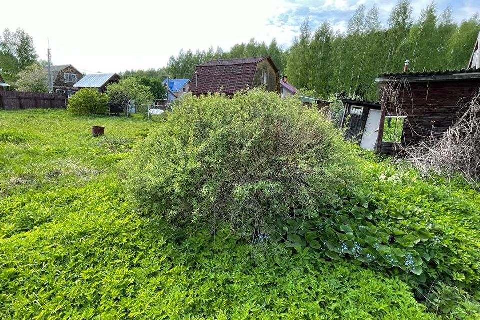 дом городской округ Клин СНТ Клин фото 6