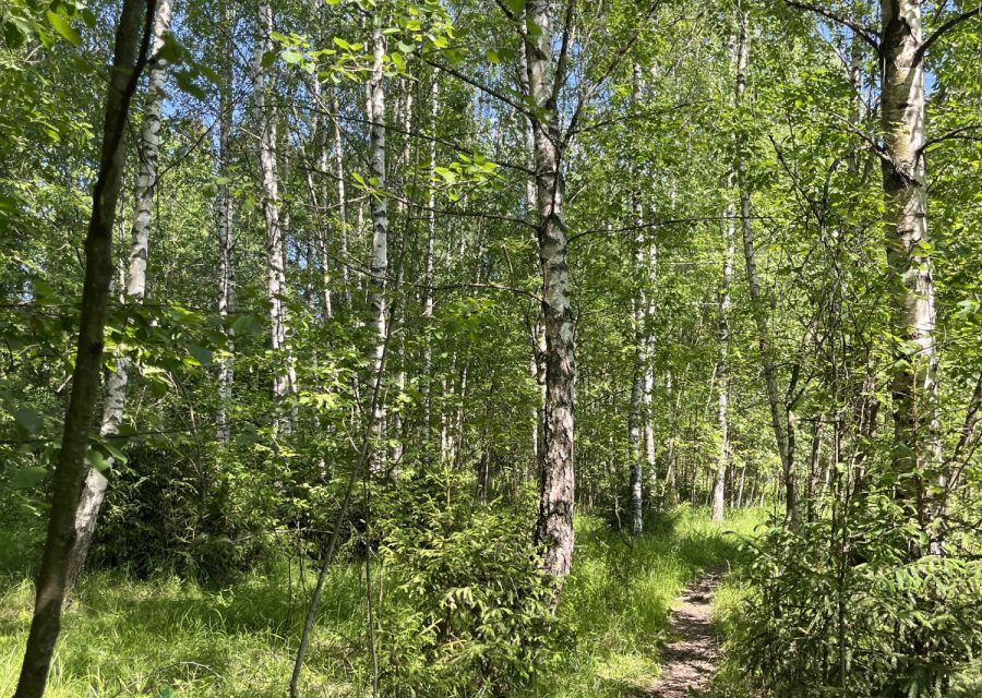 земля городской округ Химки, территориальное управление Лунёвское фото 9