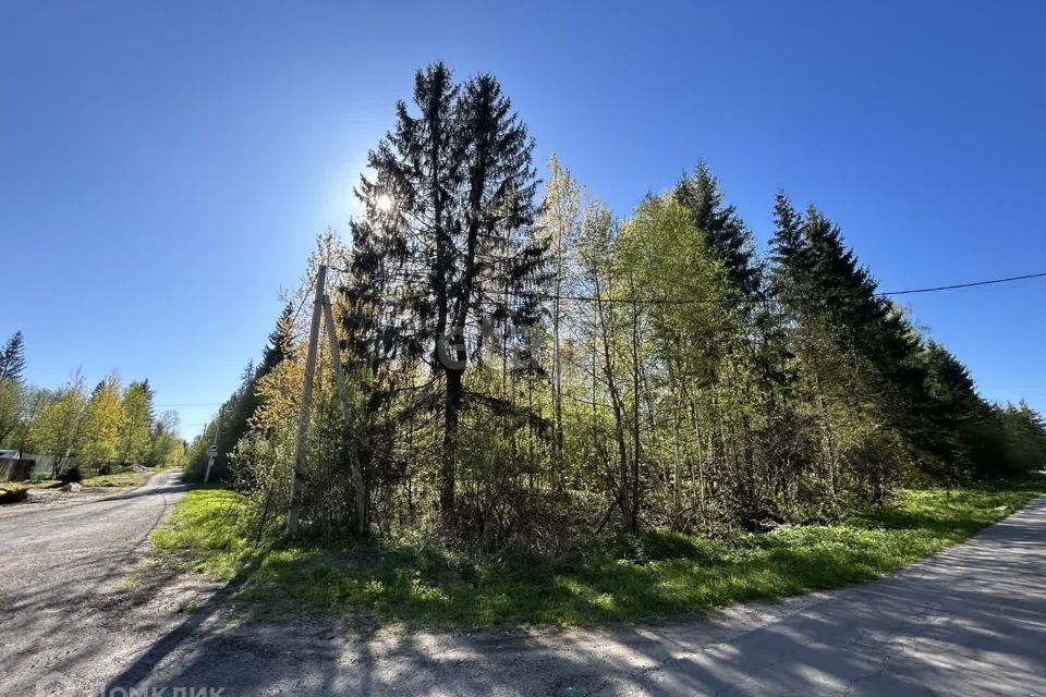 земля городской округ Клин ДСК Лесной фото 3