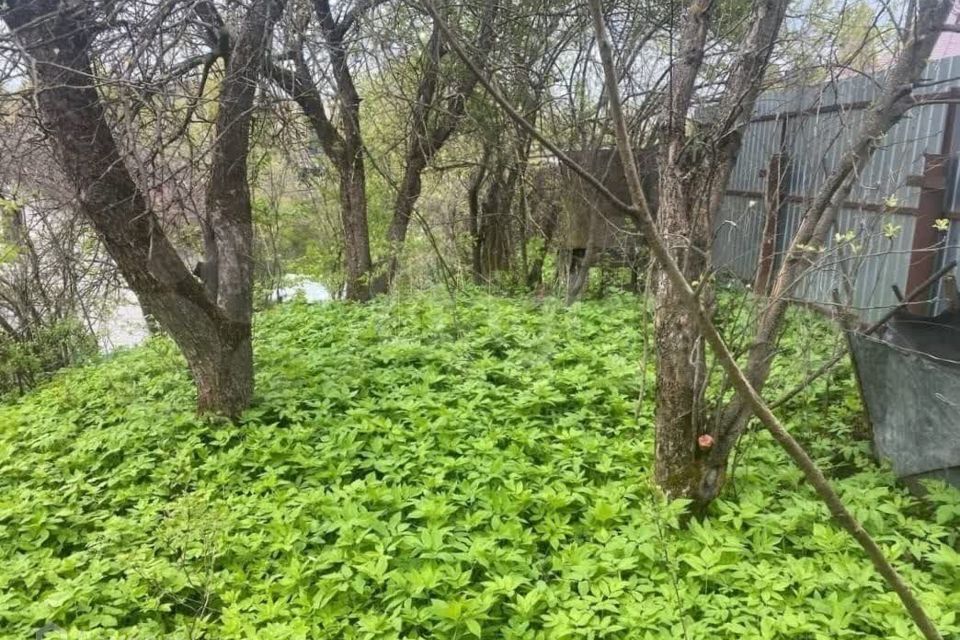 земля городской округ Красногорск НСТ Речное, 25 фото 2