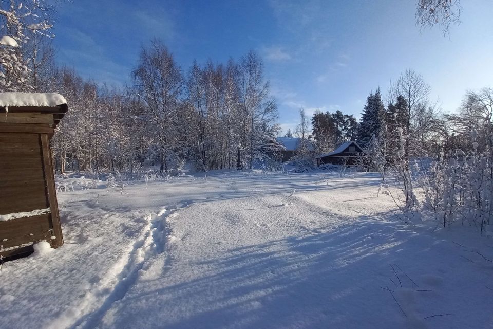 земля р-н Приозерский фото 1