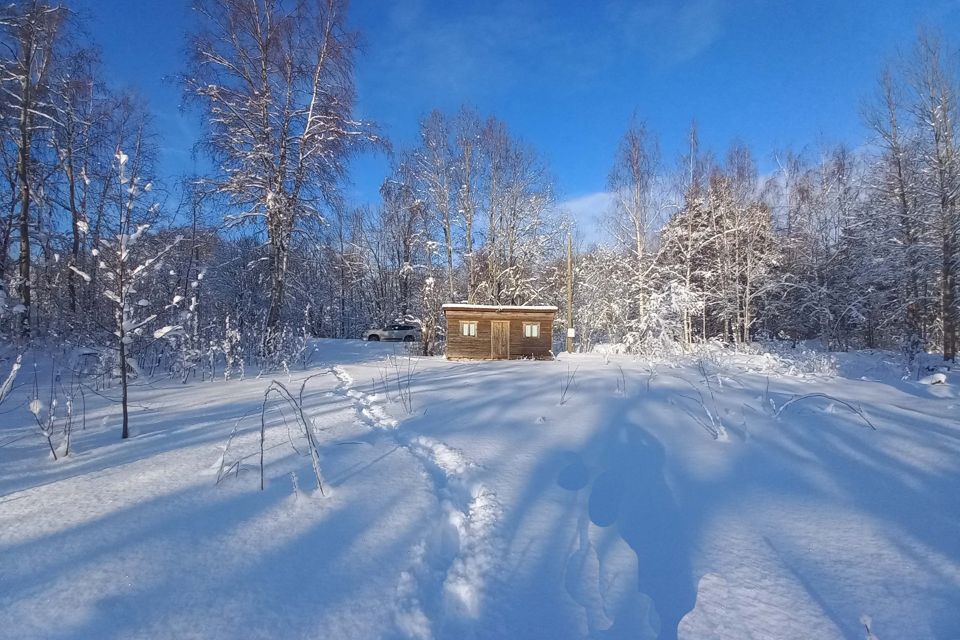 земля р-н Приозерский фото 4