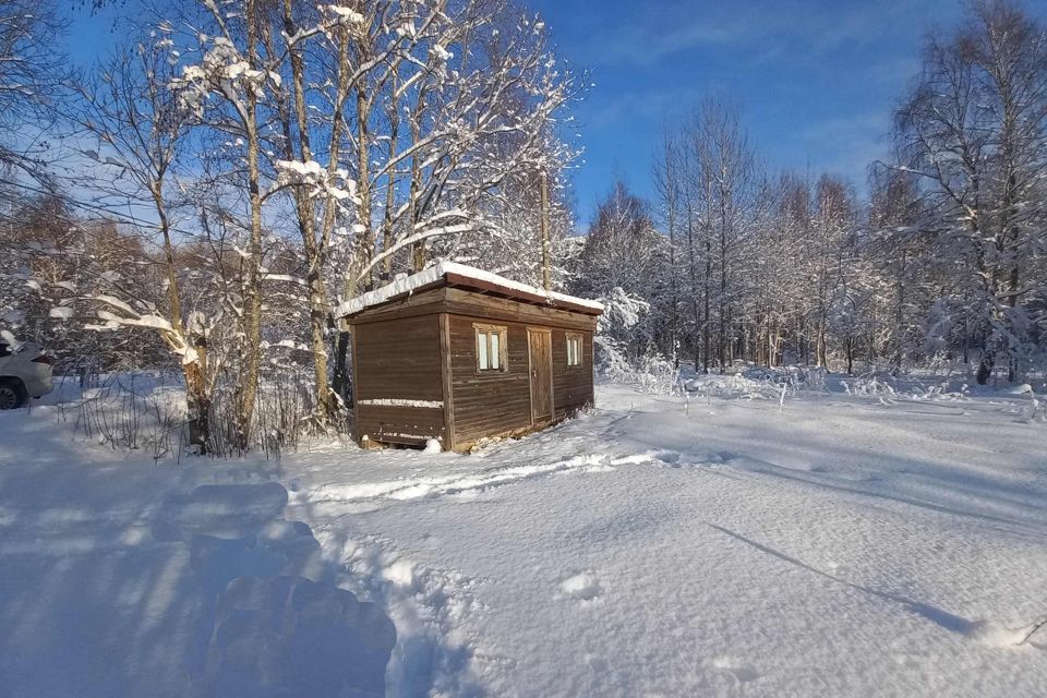 земля р-н Приозерский фото 3