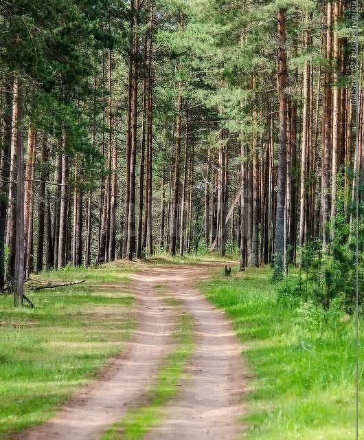 земля р-н Киришский городской пос. Будогощь, Комсомольская улица фото 3