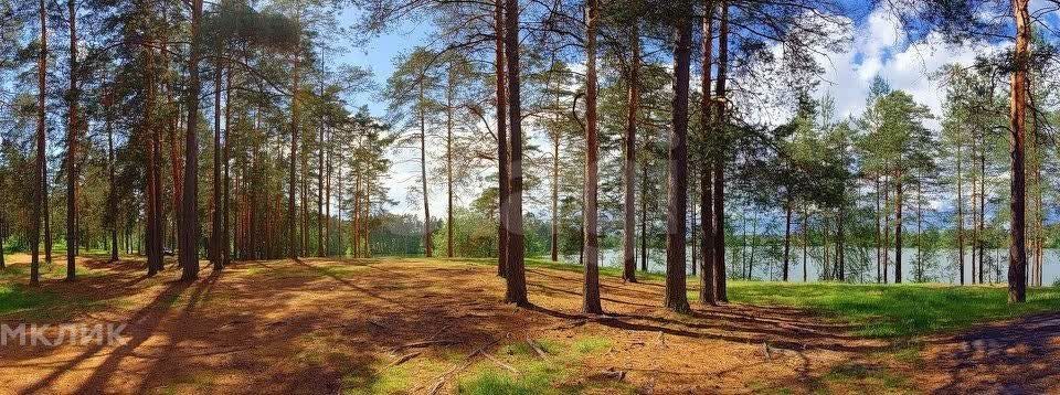 земля р-н Киришский городской пос. Будогощь, Комсомольская улица фото 4