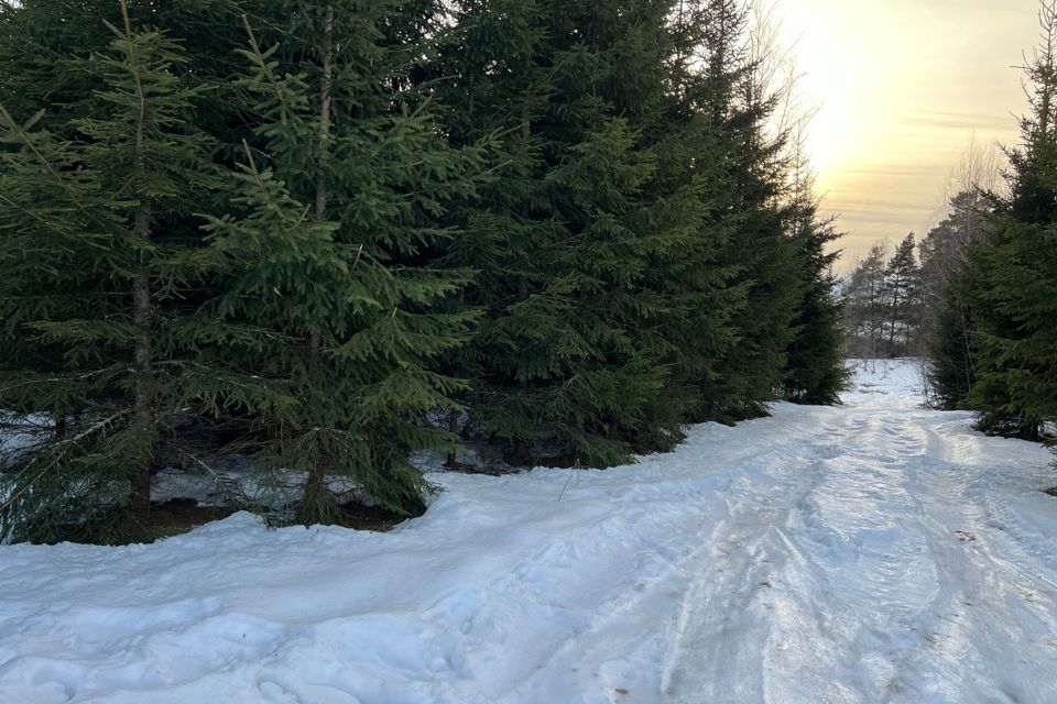 земля городской округ Волоколамский Рига, Новая фото 1