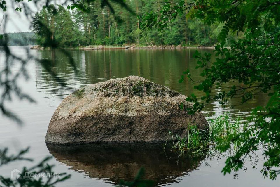 земля р-н Выборгский фото 2