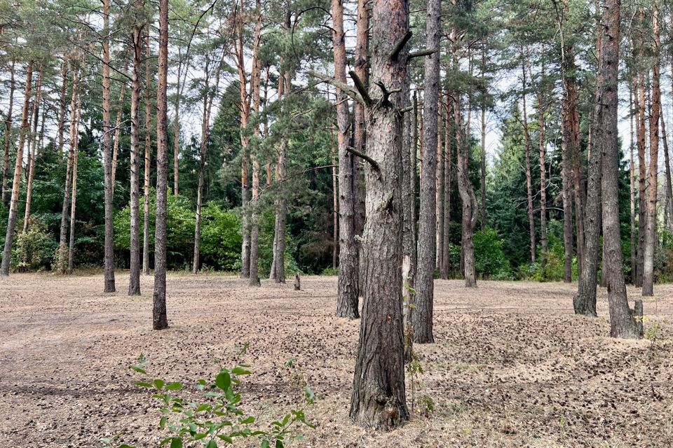 земля городской округ Мытищи с. Марфино фото 4