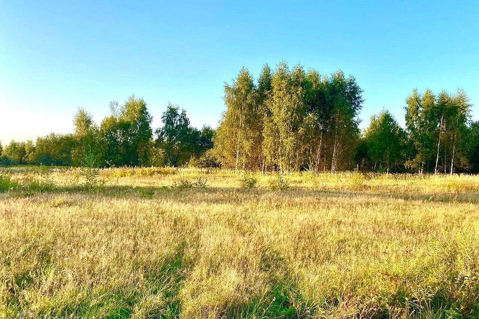 земля городской округ Красногорск д. Грибаново фото 2