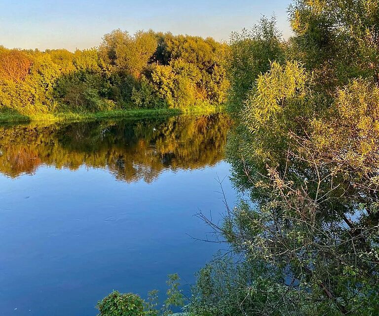 земля городской округ Красногорск д. Грибаново фото 4