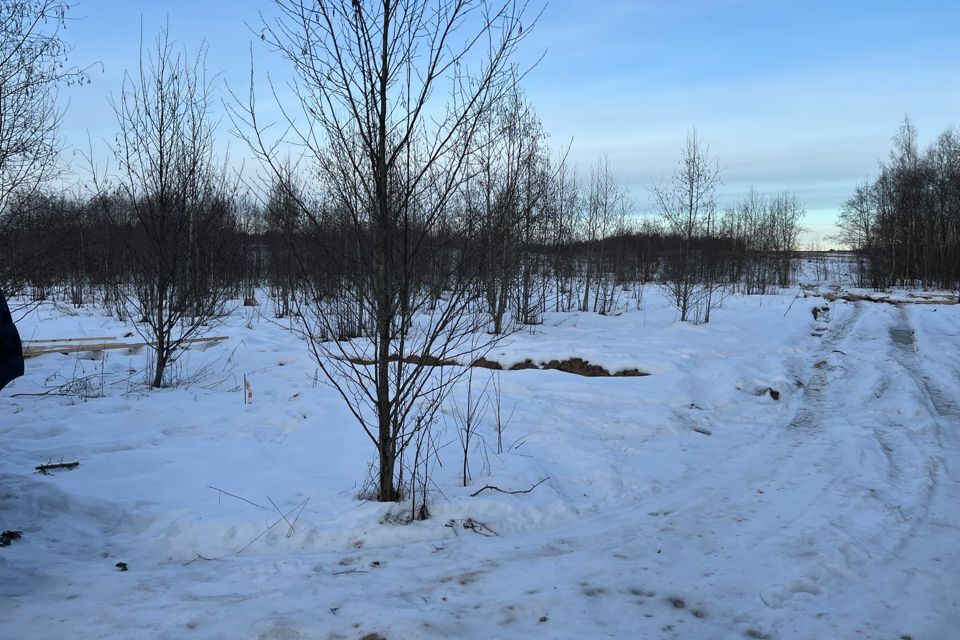 земля городской округ Волоколамский Рига, Новая фото 2