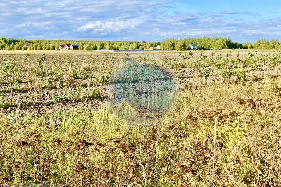 земля городской округ Раменский территориальное управление Юго-Западное фото 9