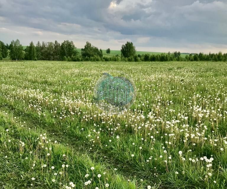 земля городской округ Раменский территориальное управление Юго-Западное фото 6