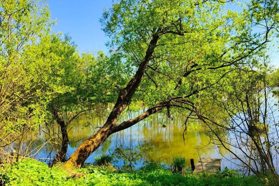 земля городской округ Чехов д. Захарково фото 7