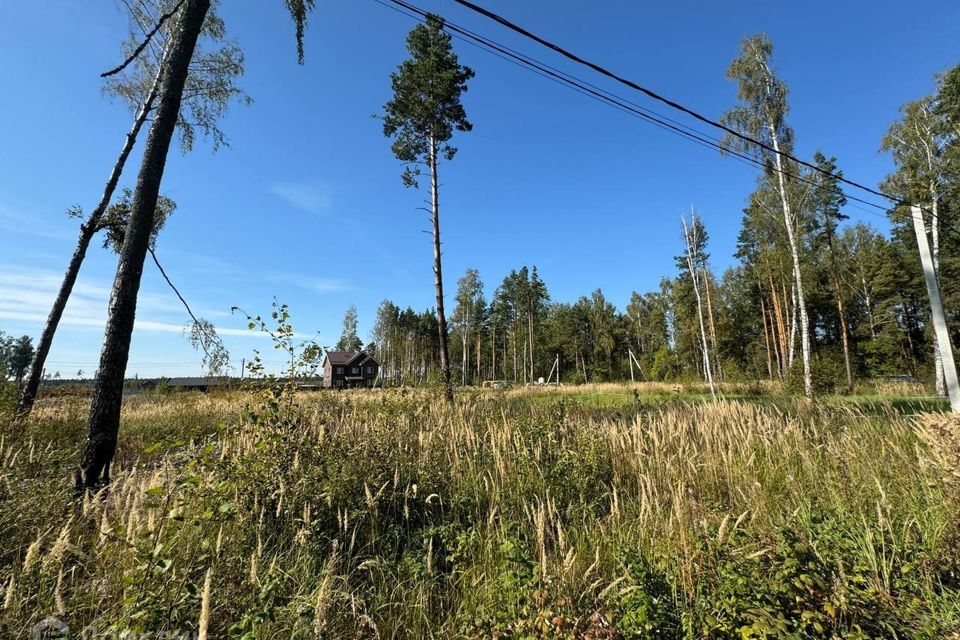 земля городской округ Раменский коттеджный посёлок Гжельский лес, 41 фото 9