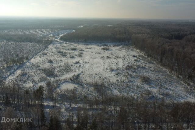 г Кировск Театральная площадь Кировск фото