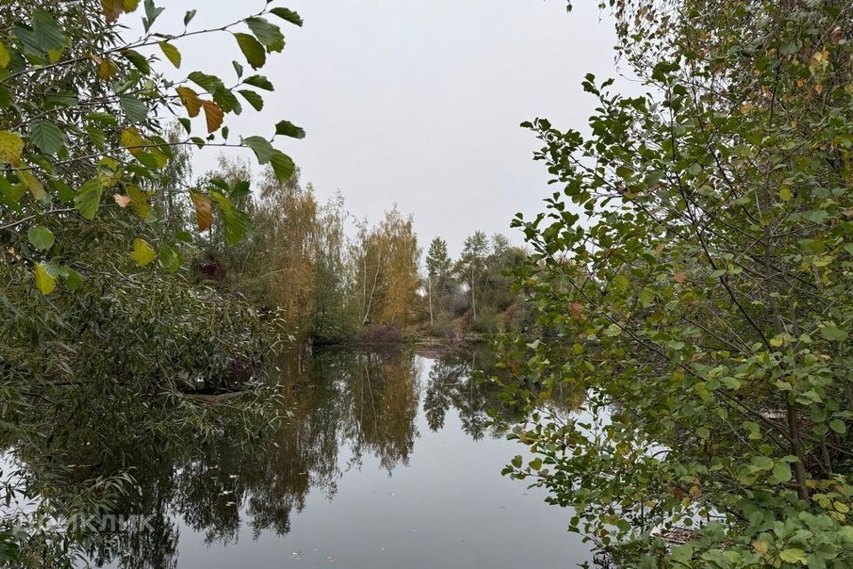 земля г Москва ш Машкинское Коломна городской округ, Московская область фото 10