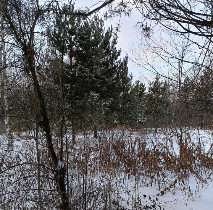 земля г Павловский Посад ул Слободская фото 1