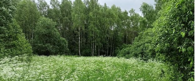 земля городской округ Дмитровский д Новинки фото 1