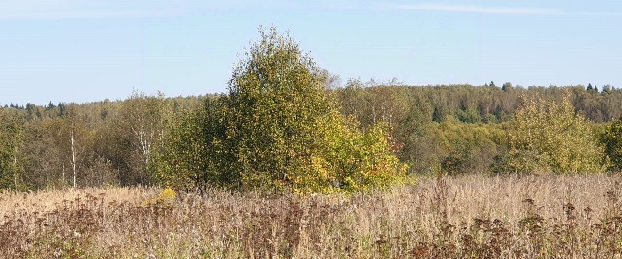 земля городской округ Сергиево-Посадский д Шапилово фото 3