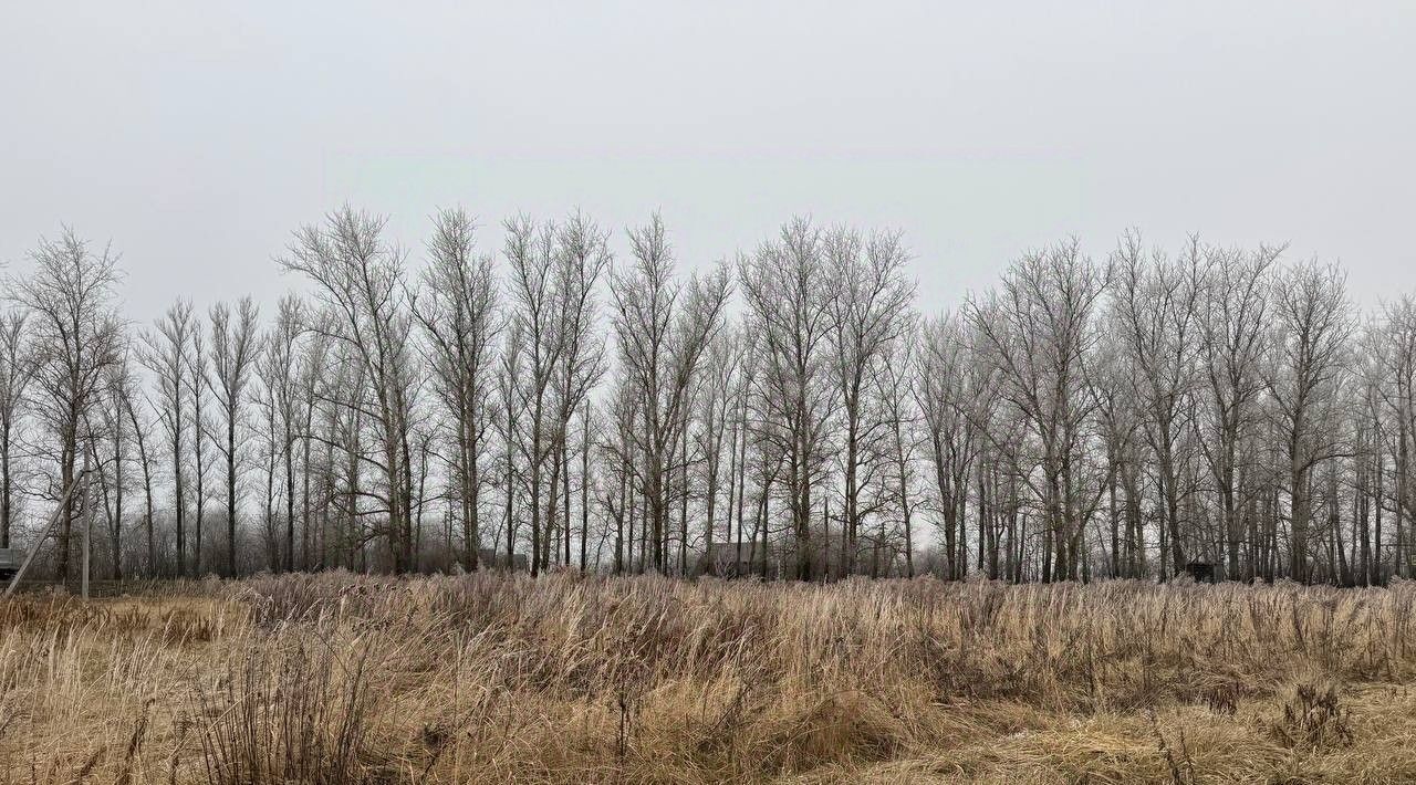 земля городской округ Кашира д Тарасково фото 2