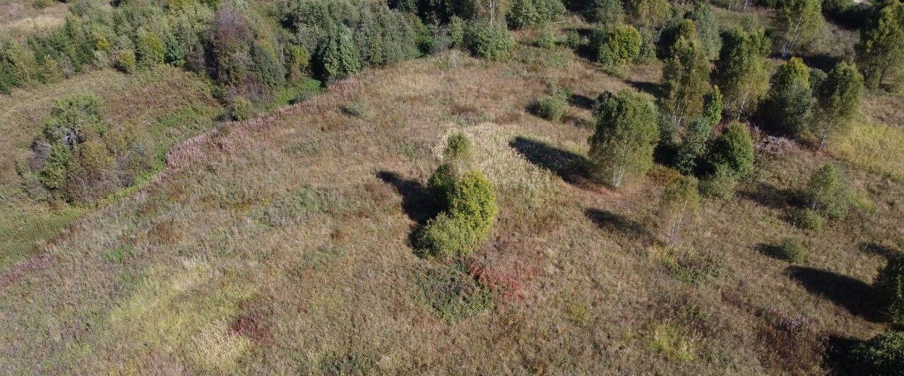 земля городской округ Волоколамский д Чернево фото 3